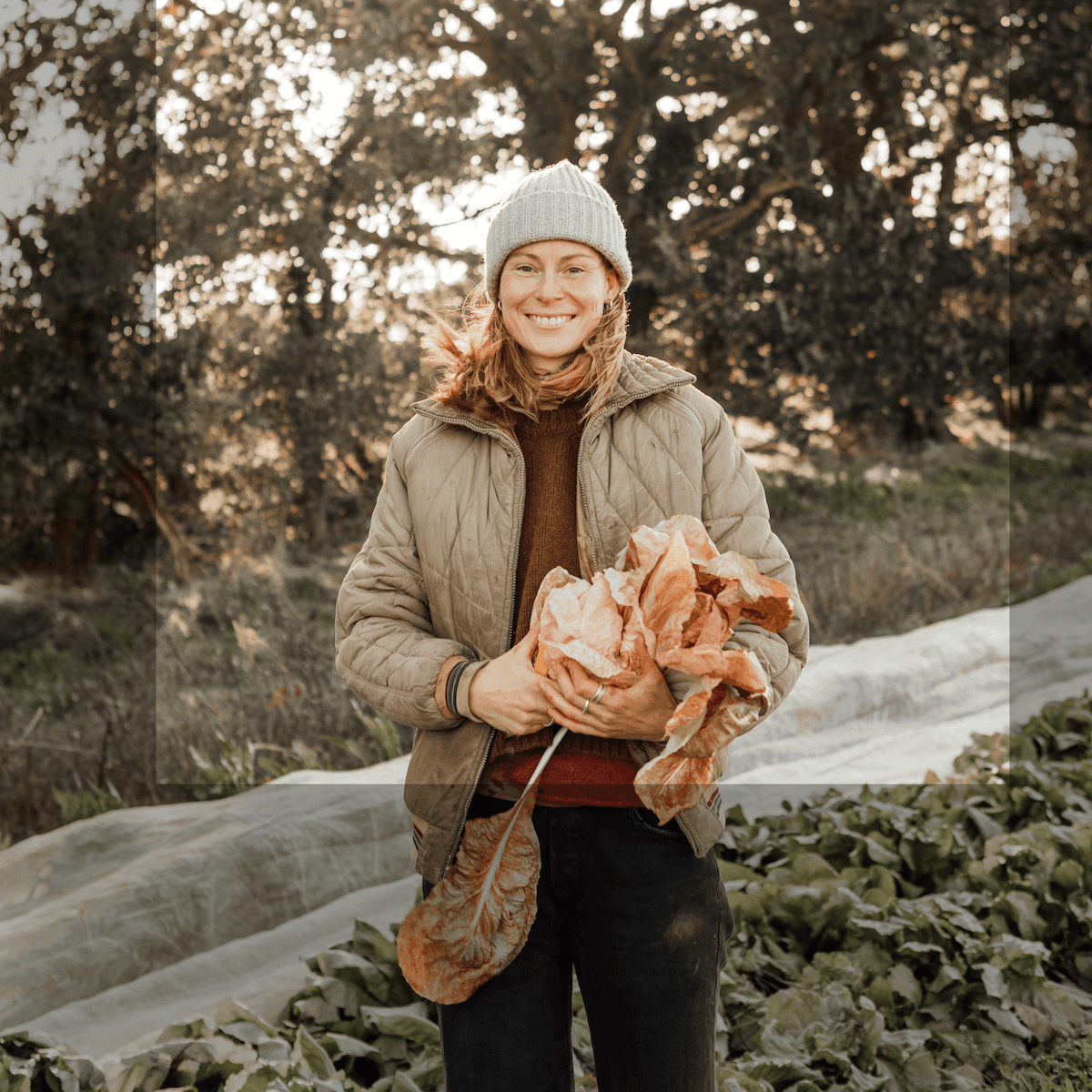 Veg Box, CSA & Farm software built for local food