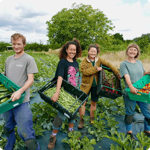 Sutton Community Farm